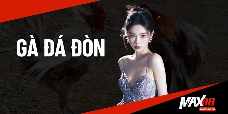 Gà Đá Đòn