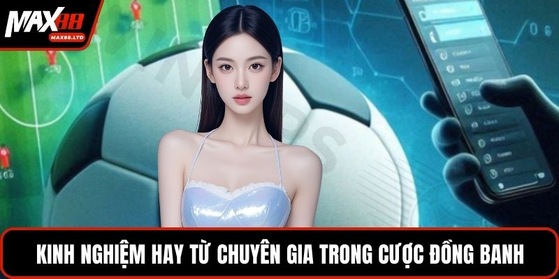 Kinh nghiệm hay từ chuyên gia trong cược đồng banh