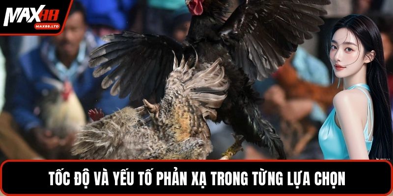 Tốc độ và yếu tố phản xạ trong từng lựa chọn