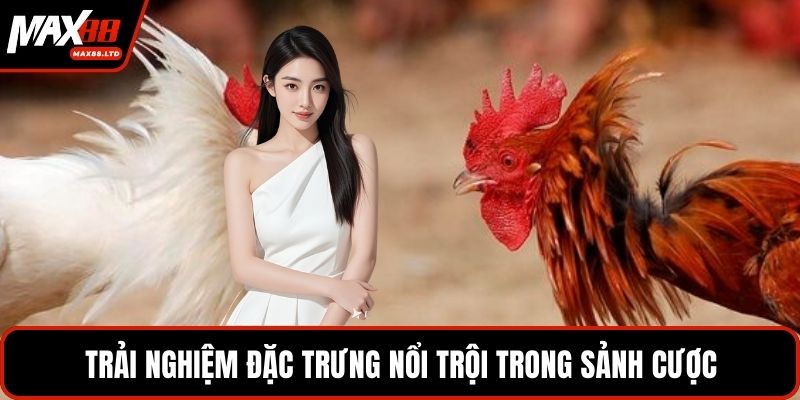 Trải nghiệm đặc trưng nổi trội trong sảnh cược